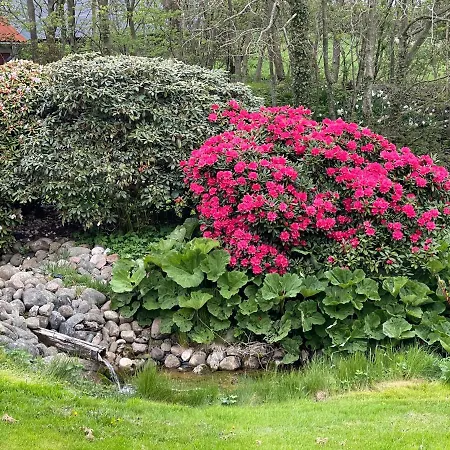 Gl Praestegaard I Naturskonne Omgivelser Apartament
